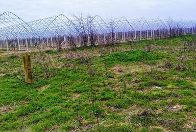 Teren de 720 mp, în Fundeni - 1