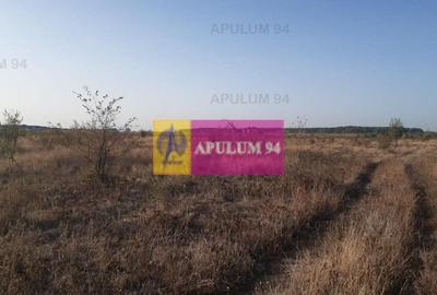 Teren bun mare și ieftin - 25