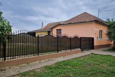 Casă cu 4 camere cu Teren 1522 Mp în Cenad - 7