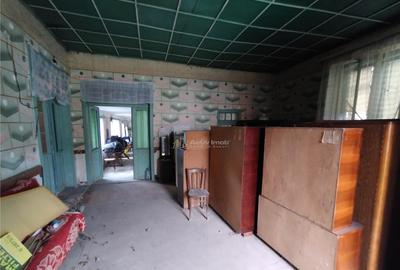 Bogodint, Casa 440mp cu 4 Hectare Teren, Pret Negociabil - 2