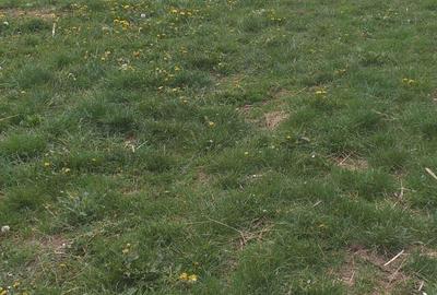 Casă cu 2 camere cu Teren 700 Mp în Recea-Cristur - 2