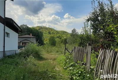 Teren de 6500 mp, în Bogați