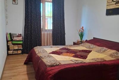 Casă individuală cu 3 camere cu Canalizare în Vișinii - 3