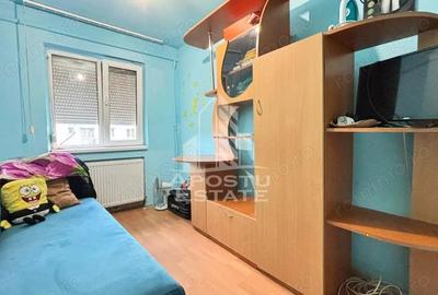 Apartament cu 2 camere nedecomandat, mobilat în Șagului - 5