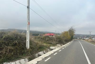 Teren de 2500 mp, în Sărata - 2