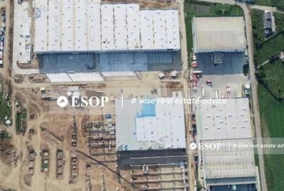 WDP Industrial Park Dragomiresti, spatii industriale, 0% ... - 6