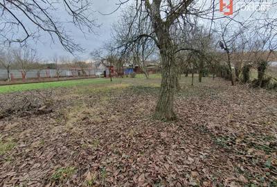 Apartament cu 5 camere nedecomandat, mobilat în Central - 4