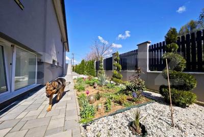 Casă cu 7 camere cu Teren 1000 Mp în Sântandrei - 13