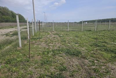 Teren de 780 mp, în Exterior Vest - 3