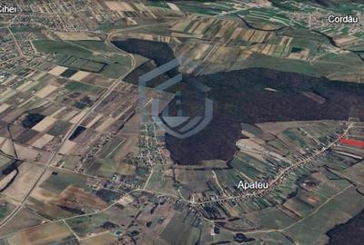 Teren intravilan Apateu 4100 mp - 3