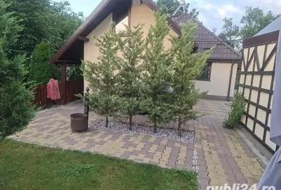 Casă cu 6 camere în Central - 4