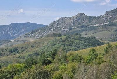 Teren de 4719 mp, în Râmeț - 8