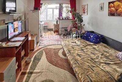 Garsonieră nedecomandată, mobilată în Ultimul leu - 5