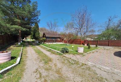 CASA DE VACANTA - UN MIC COLT DE RAI , STEFANESTI, ARGES CASA DE VACANTA - UN MIC COLT DE RAI , STEFANESTI, ARGES - 4