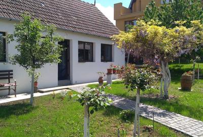 Casă cu 2 camere cu Teren 4000 Mp în Spitalul Județean - 1