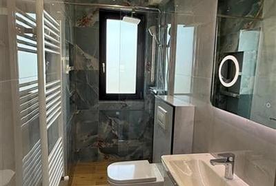 Valea Lupului Casa 4 camere,3 bai,Dressing,Beci demisol,644 mp Teren - 17