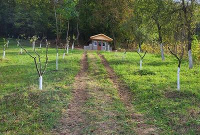 Casa de vanzare mobilat si cu bonuri, annexa, garaj, livada de pruni si cu masina - 7