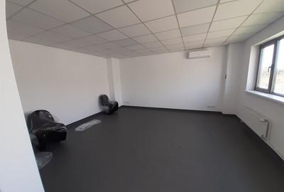 Spațiu industrial, de 600 mp, în Theodor Pallady - 5