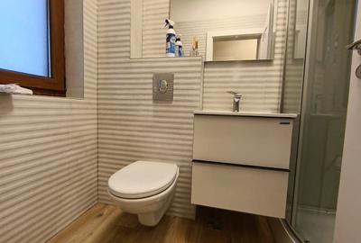 Duplex cu 5 camere cu Canalizare în Dumbrăvița - 7