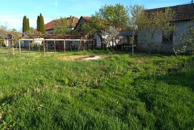 Casă cu 4 camere în Finiș - 5