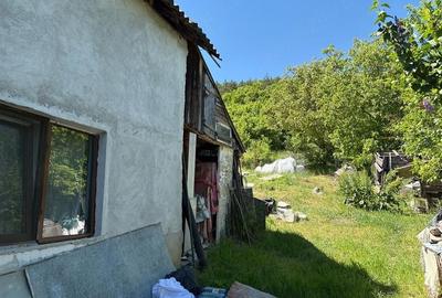 Casă cu 3 camere cu Teren 1700 Mp în Exterior Sud - 4