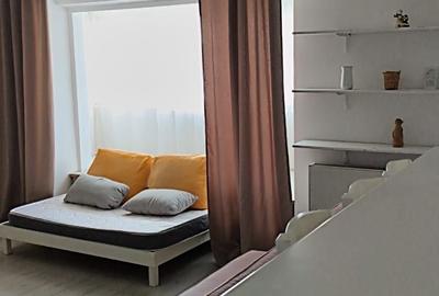 Garsonieră decomandată în Nicolina - 4