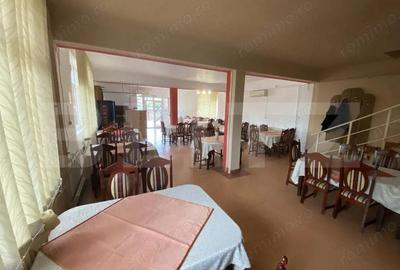 Casa de vanzare, spatiu comercial in suprafata 220 mp, in localitatea Sarmasag - 7