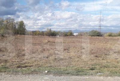 Teren 7240mp, zona Prelungirea Panduri - 5