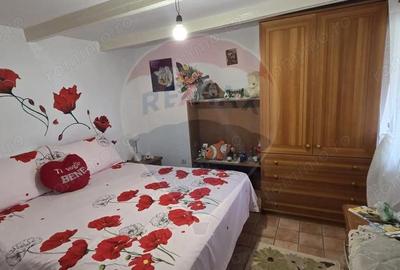 Casă cu 4 camere cu Teren 614 Mp în Stânca (Ștefănești) - 9