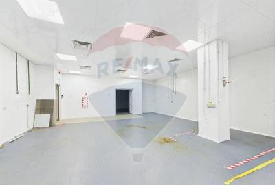 Spa?iu multifunc?ional de birouri ?i produc?ie langa Kaufland Vitan - 9