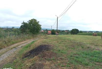 Spațiu comercial, în Răchita - 10