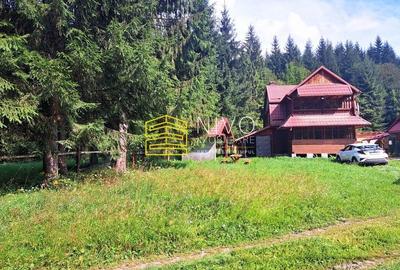 Casă de vacanță - Mureș - Sălard - 5