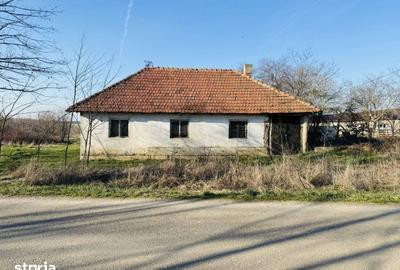 Casă cu 3 camere cu Teren 1000 Mp în Cetariu - 5