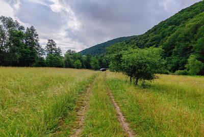 2,64 Ha TEREN SUPERB pe malul raului Crisul Repede padure parau NEGRENI - CLUJ - 9