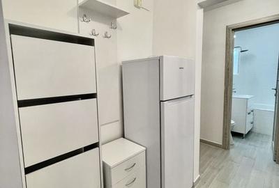 2 camere, Piata Victoriei, Titulescu, Banu Manta, Kisseleff - 6