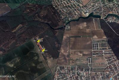 Tamasi, langa padure, 12.824 mp, deschidere 45 ml, teren cu potential! - 5