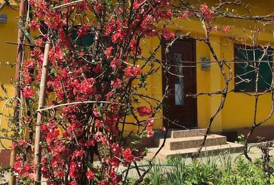 Casă cu 4 camere cu Teren 500 Mp în 3 Insule - 6