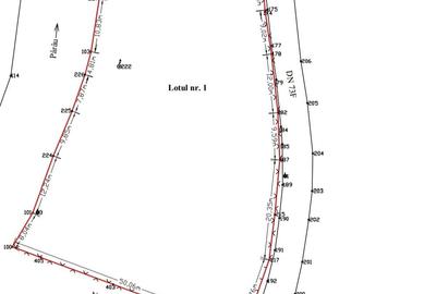 Inchiriez teren in Moieciu Brasov 2 lei mp - 1