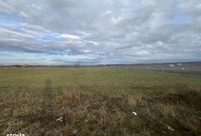 Spațiu comercial, în Apateu - 4