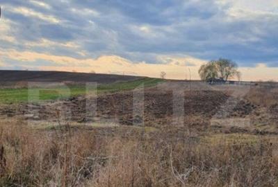 Teren de 6100 mp, în Central - 3