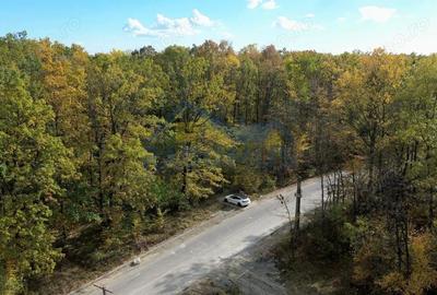 TEREN INTRAVILAN IN PADURE LA VARBILA - PRAHOVA COMISION 0% - 3