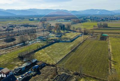 Spațiu comercial, în Prejmer - 5