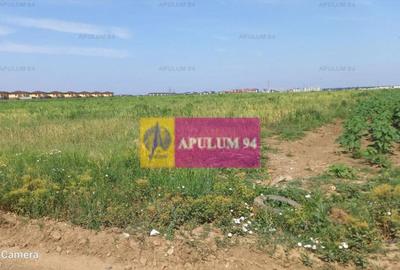 Teren, zona Dobroesti Pantelimon - 3