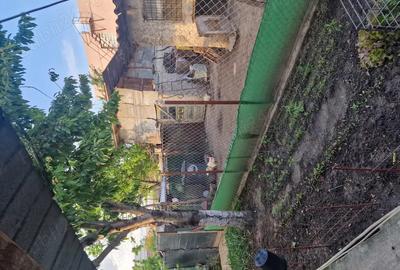 Casa de Vanzare Slobozia Noua - 4