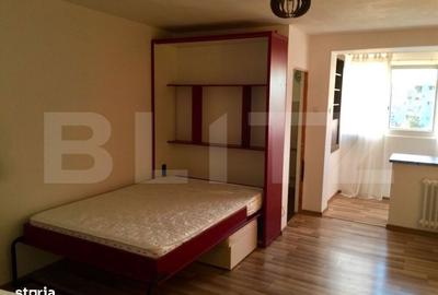 Garsonieră, mobilată în Brazda lui Novac