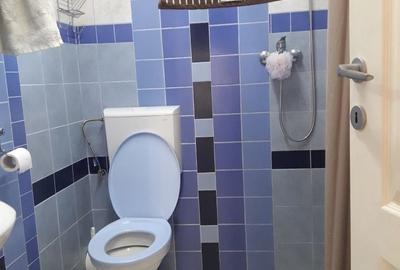 Apartament cu 2 camere în Central - 2