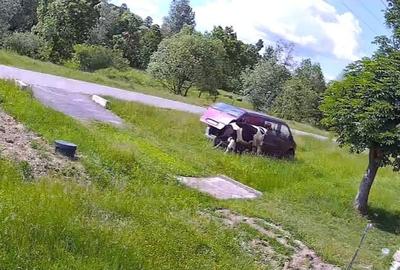 Casă cu 4 camere în Ohaba Română