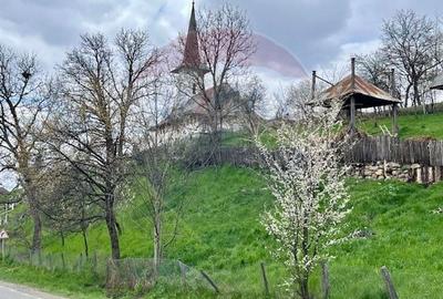 Casă individuală cu 2 camere cu Canalizare în Bârsana - 5