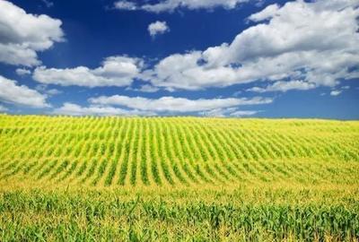 Spațiu comercial, în Ciugud - 1