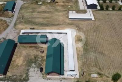 Teren în Crânguri - 1